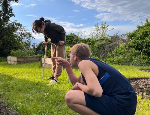Creativity in the great outdoors