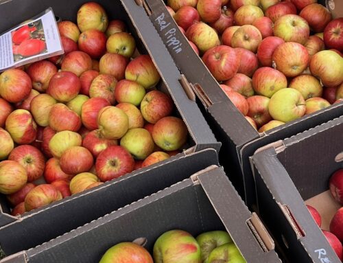 Rennie’s Winslow Cider sell out at local Apple Fair
